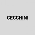 Cecchini logo
